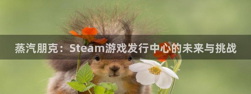 tp钱包怎样卖币