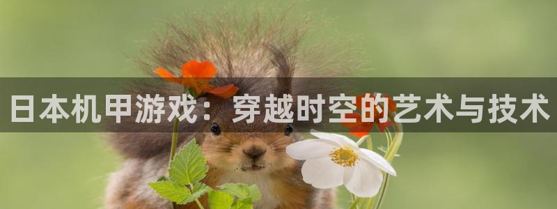 tp钱包持币地址怎么查询