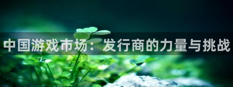 tp钱包转错链怎么办